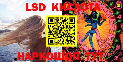 спайс Кингисепп