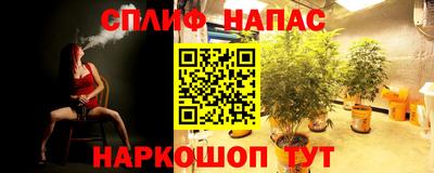 амф Кимры