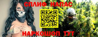 спайс Кингисепп
