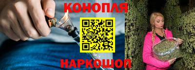 спайс Кингисепп