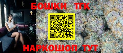 спайс Кингисепп