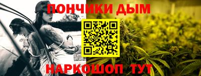 спайс Кингисепп