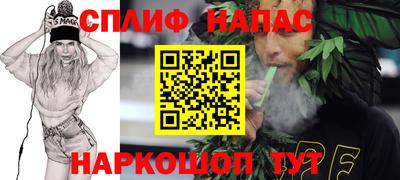 спайс Кингисепп