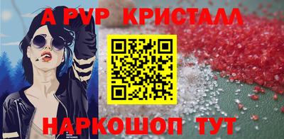 спайс Кингисепп