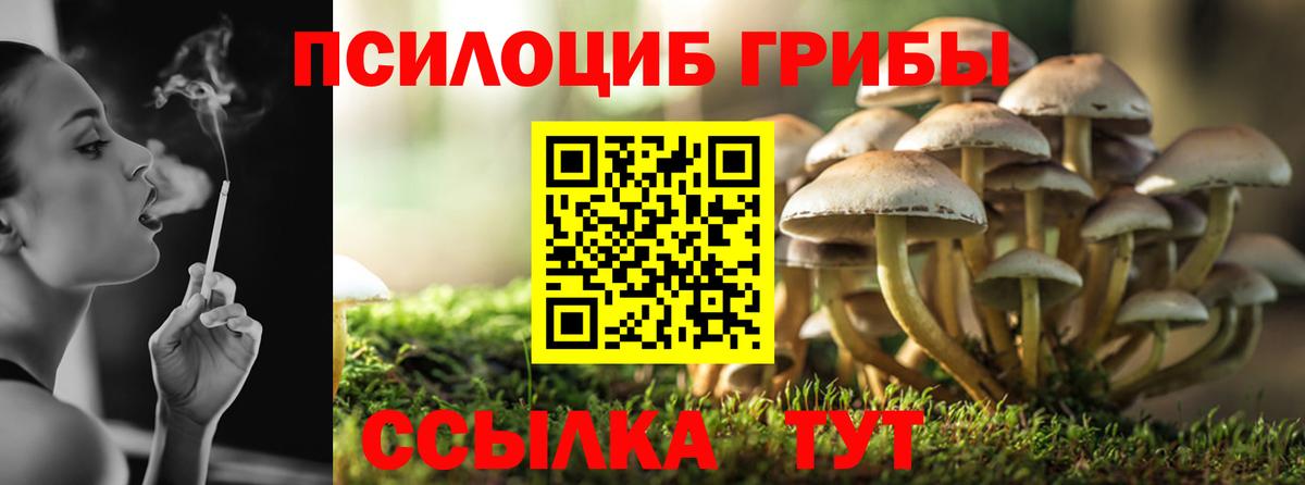 Галлюциногенные грибы Cubensis  Вход с VPN  Галлюциногенные грибы GOLDEN TEACHER  Красный Сулин 